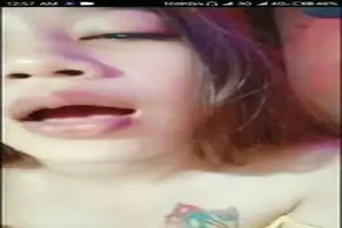 Dokumentasi Kupu Kupu Liar Cantik Live Kasur